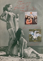 1974 Everyone Is Everybody Else and Rare Bird 'Born Again' album poster